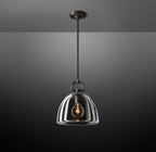 14 Inch Dome Crystal Pendant Light - Botanist